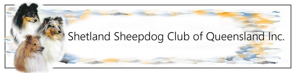 Shetland Sheepdog Club Of QLD Inc.