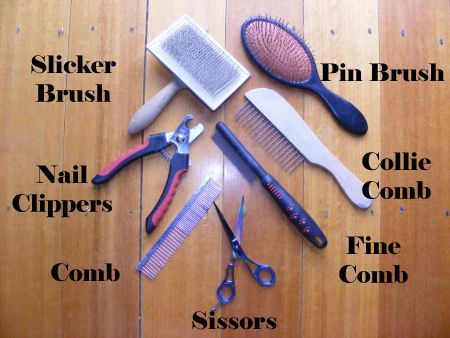 Collie comb hot sale