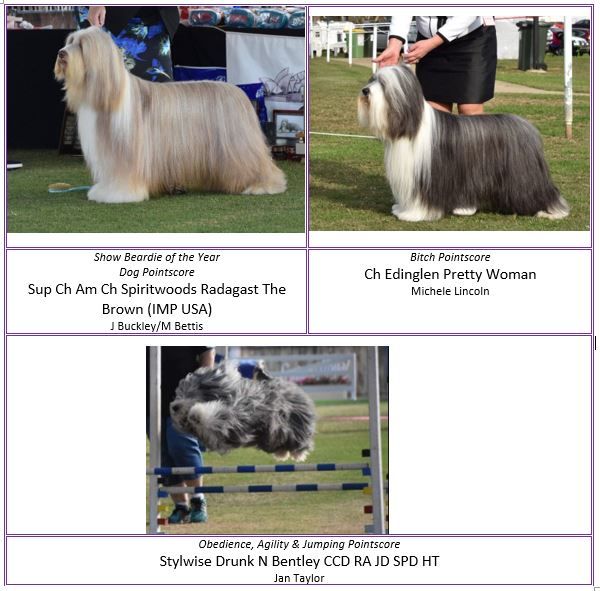 The Bearded Collie Club of NSW Inc