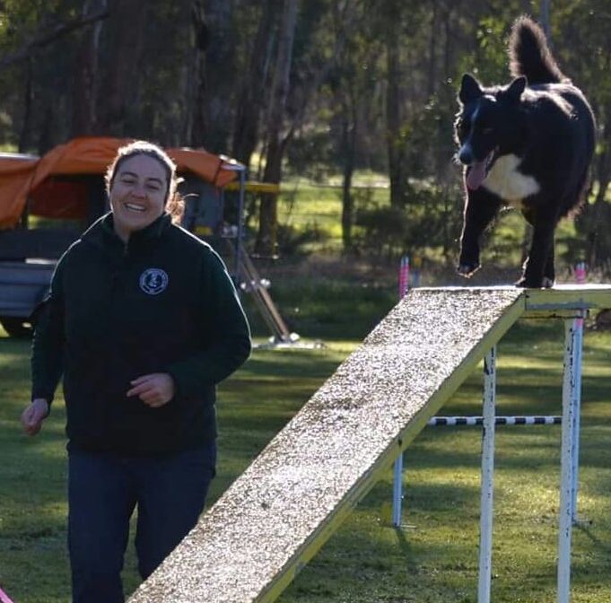 Westernport 2024 dog obedience