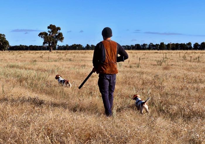 Oakley in the field with one of his pups