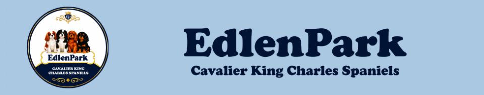 EdlenPark