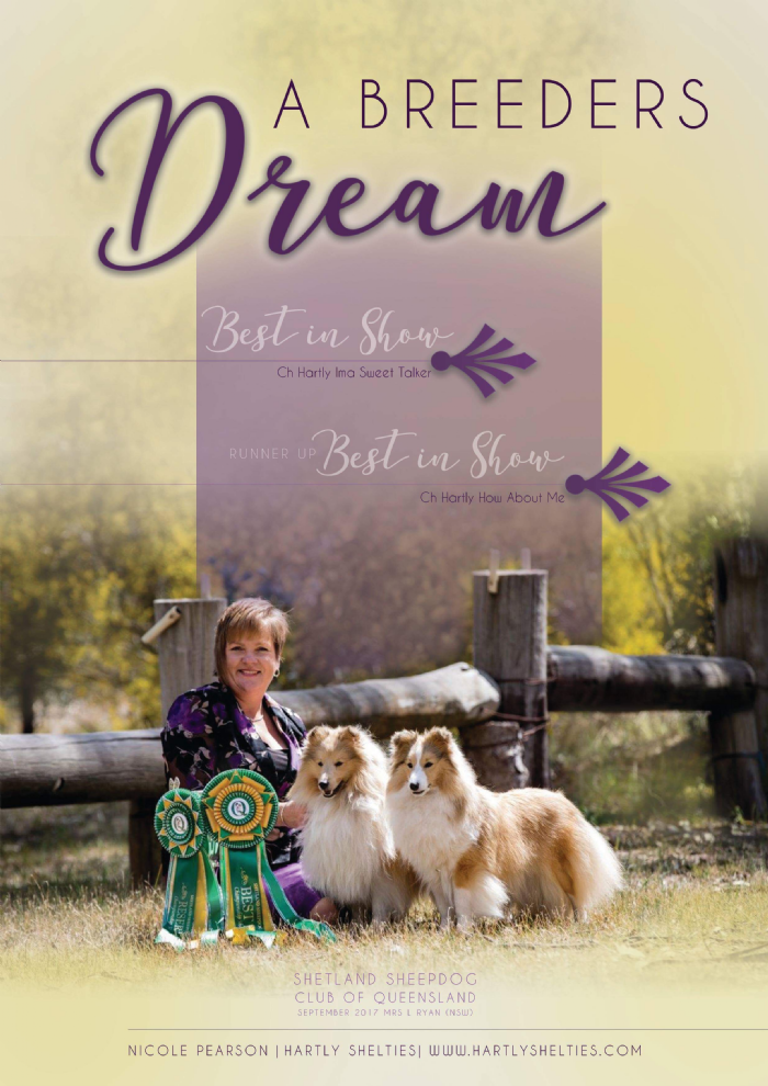 Just a hot sale dream shelties