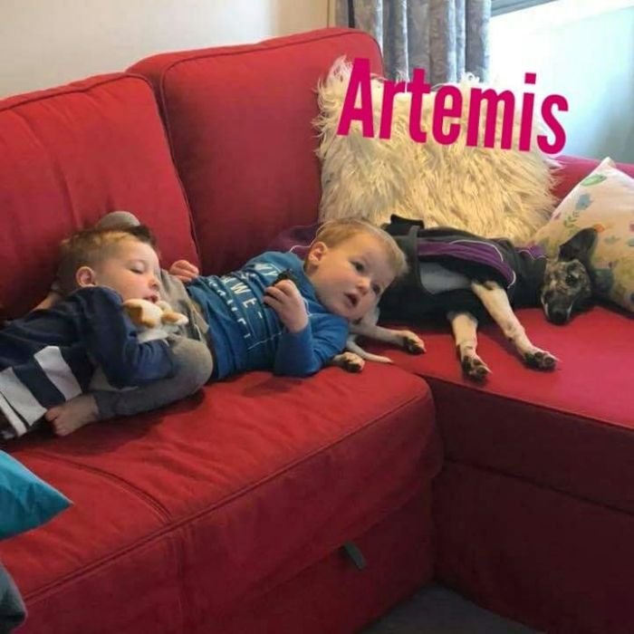 Girl 3 Artemis