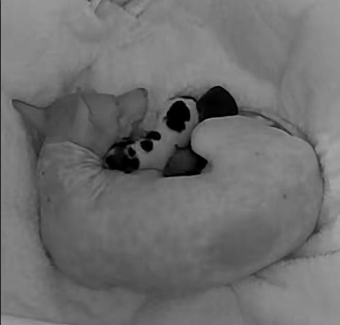 Mu with her 2 boys Cruz and Bond