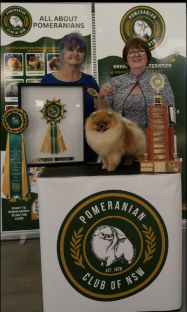 Runner Up to Best in Show