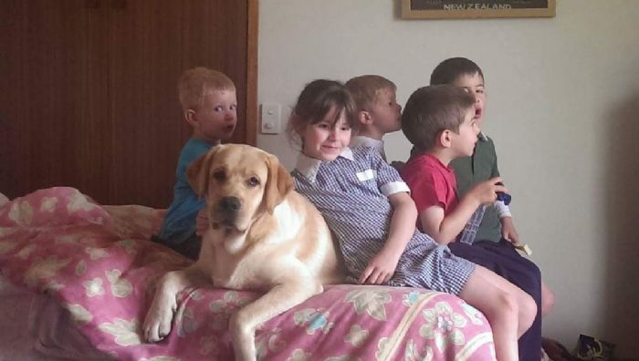 Jasper with the grandkids