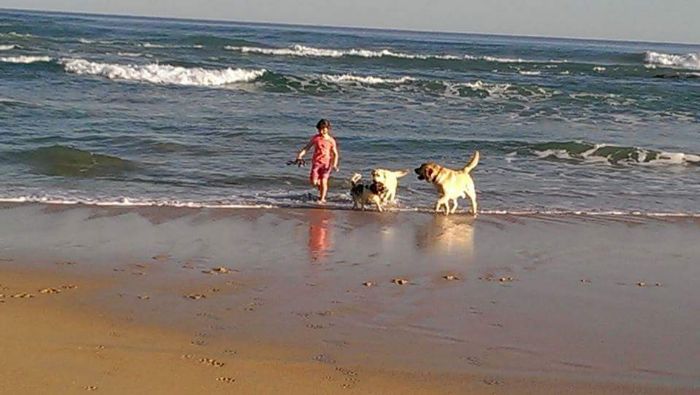 Chelsea at the beach with Monty the Cav, Candy and Jasper