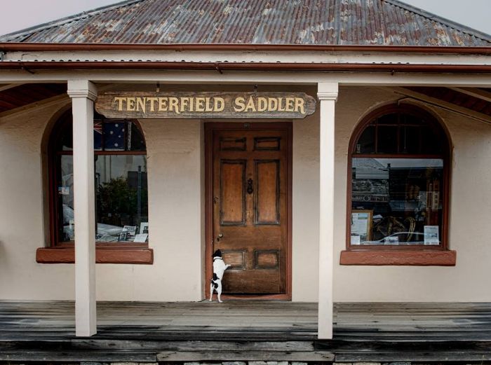 The Tenterfield Saddler's shop in Tentrfield NSW.  Picture taken by Lani Smith.