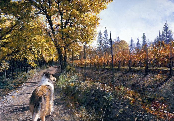 victorian collie rescue